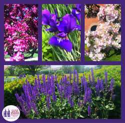 2021 05 27 SJC Spring
