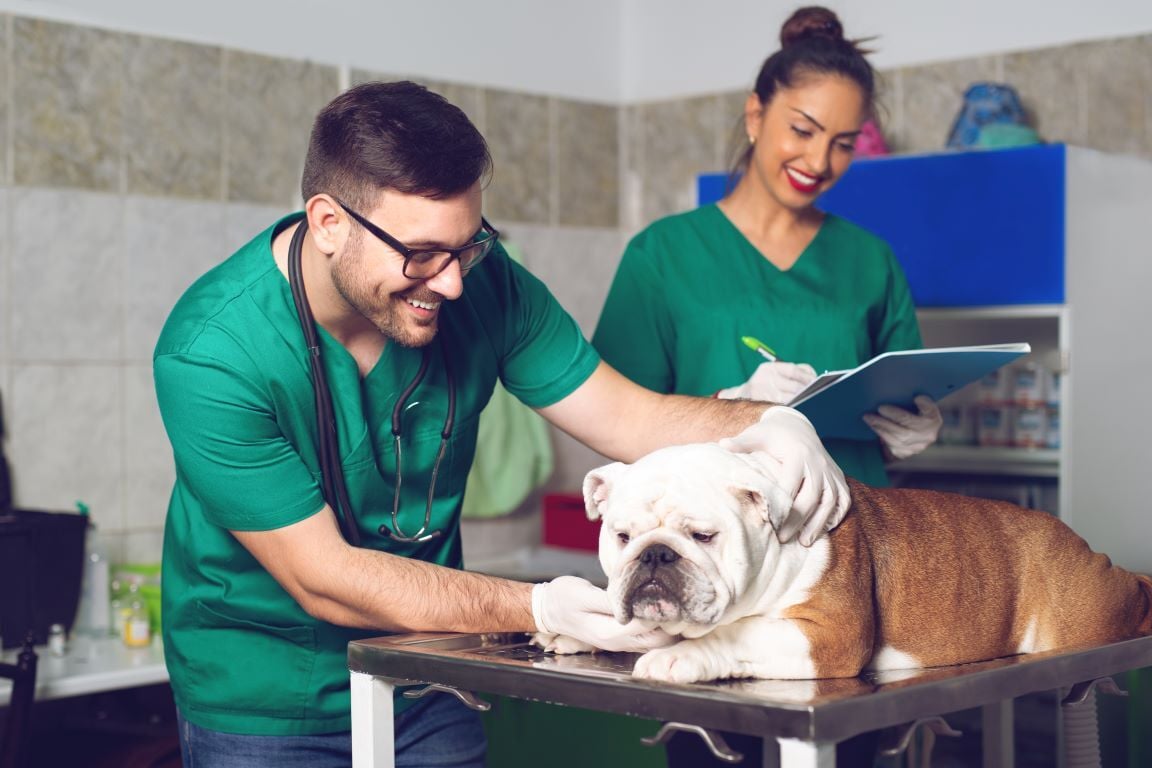 Explore Vet Science Small